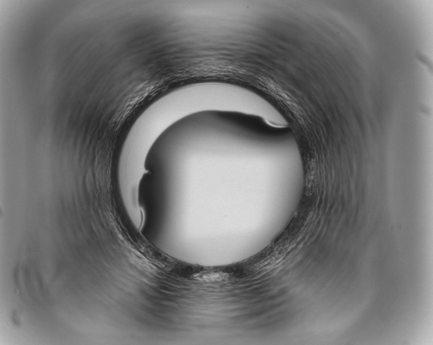 X0000096140452200802081352