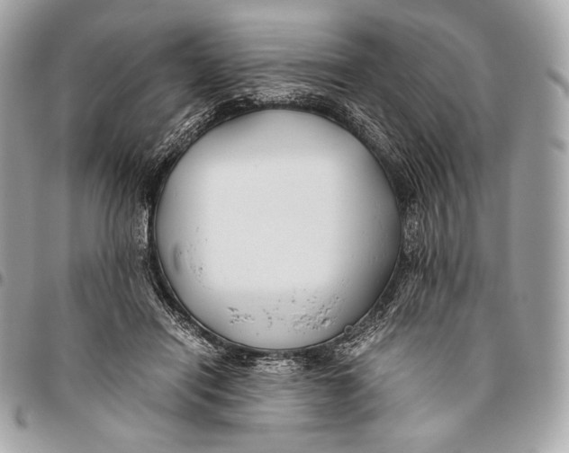 X0000096140454200802081352