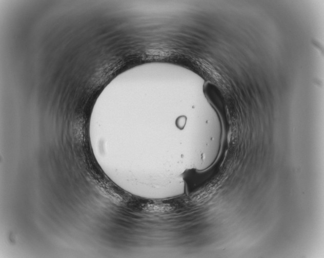 X0000096140455200802081352