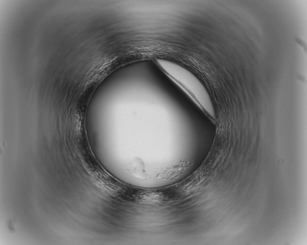 X0000096140456200802081352