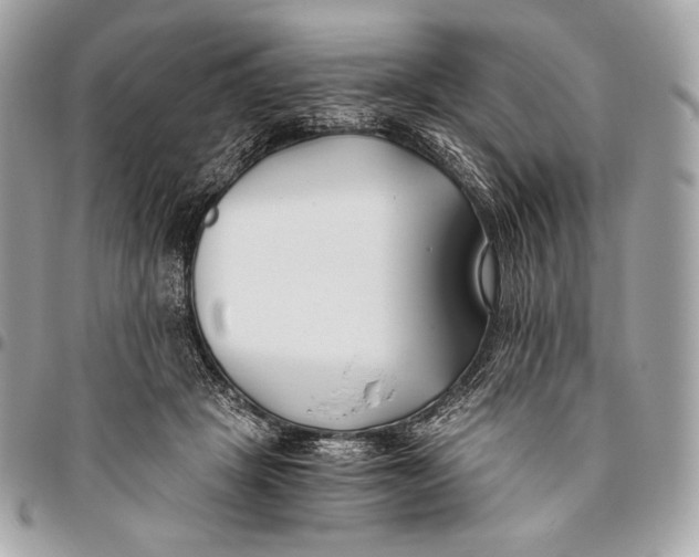 X0000096140457200802081352