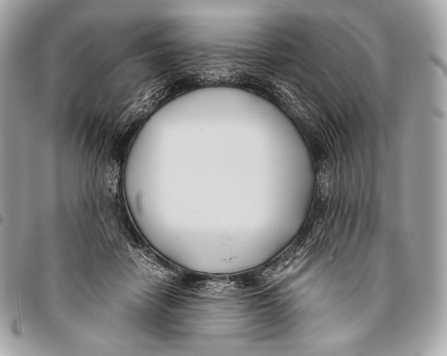 X0000096140458200802081352