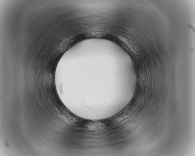 X0000096140459200802081352