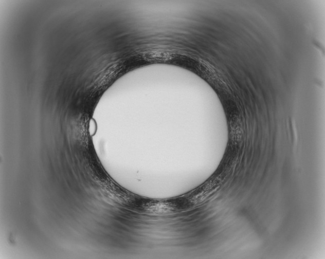 X0000096140460200802081352