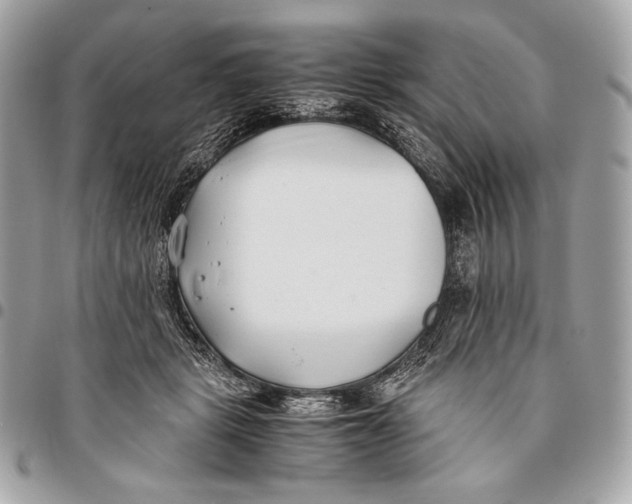 X0000096140461200802081352