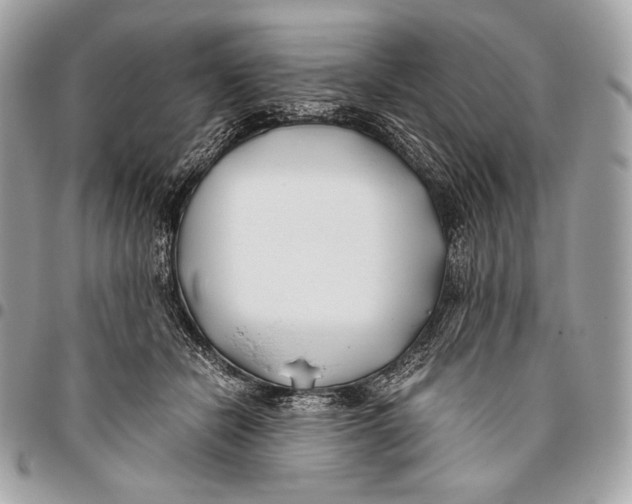 X0000096140462200802081352