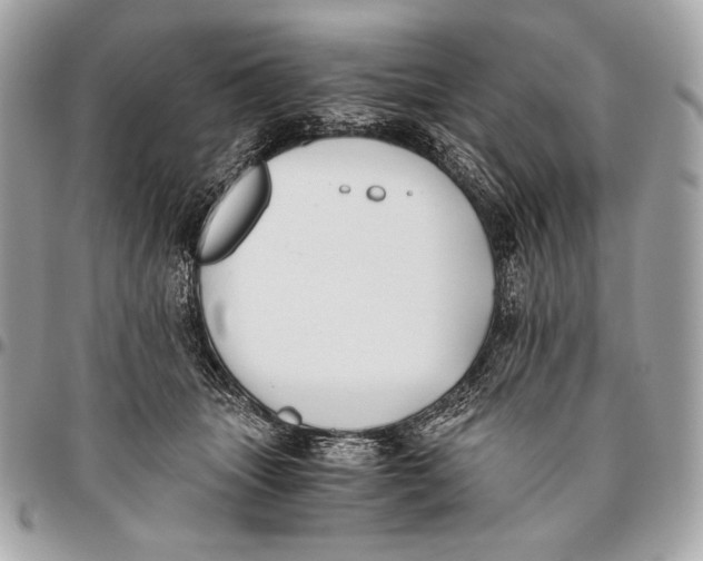 X0000096140463200802081352