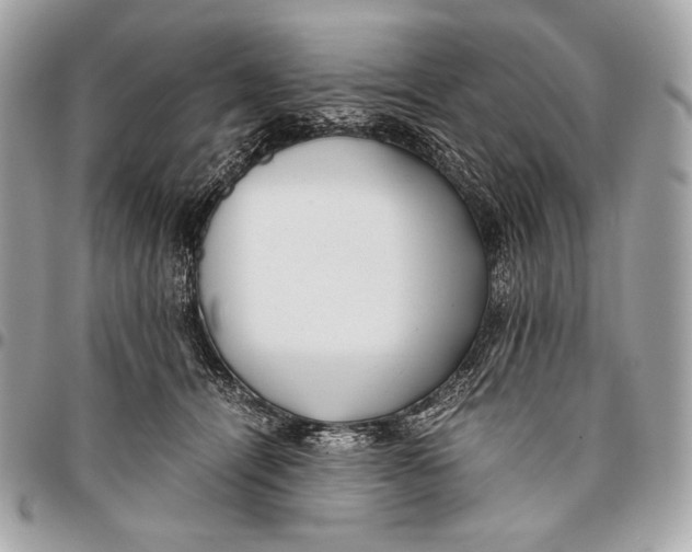 X0000096140464200802081352