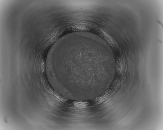 X0000096140465200802081352