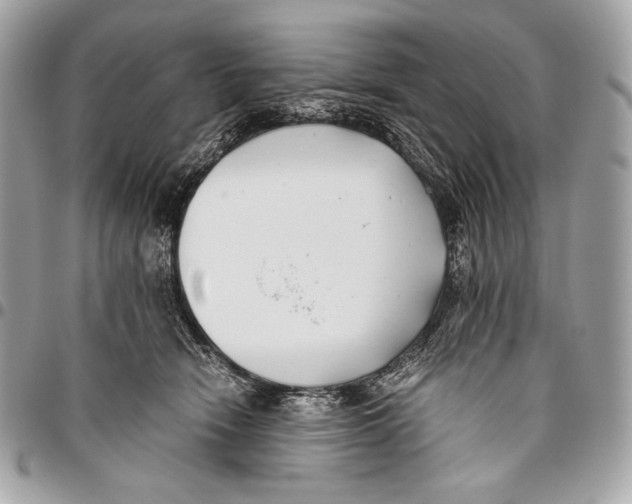 X0000096140466200802081352