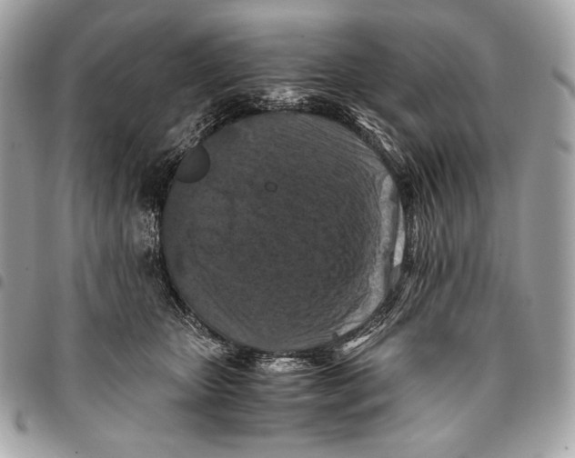 X0000096140467200802081352
