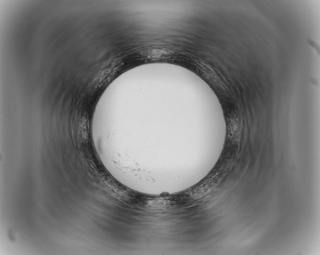 X0000096140470200802081352
