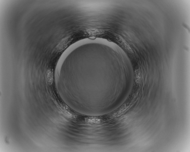 X0000096140471200802081352
