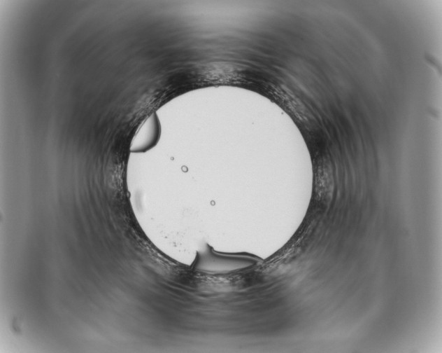 X0000096140473200802081352