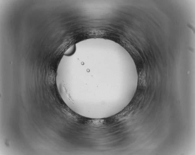 X0000096140474200802081352