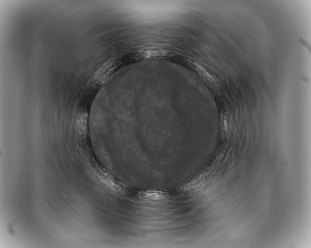X0000096140475200802081352