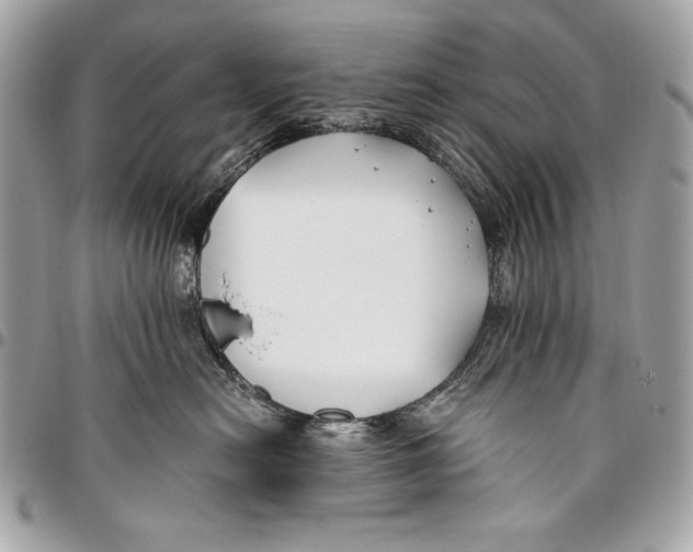 X0000096140478200802081352