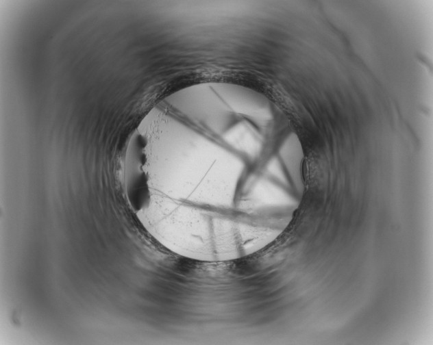 X0000096140479200802081352