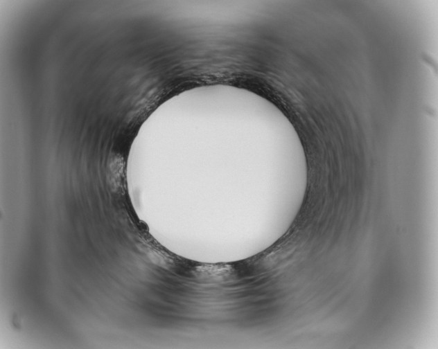X0000096140480200802081352