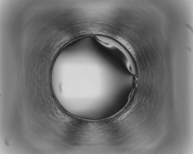 X0000096140481200802081351