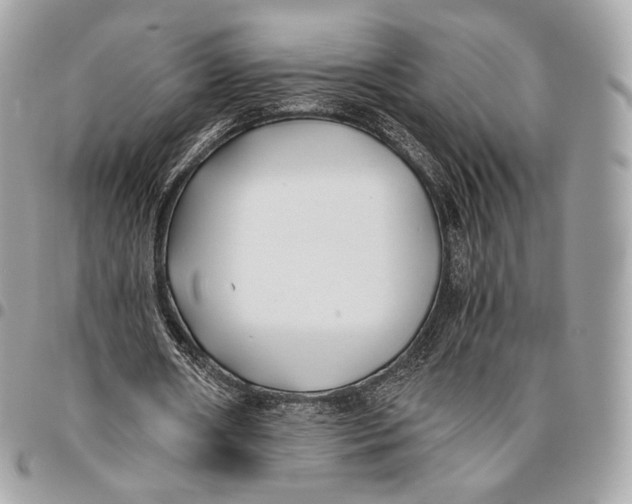 X0000096140482200802081351