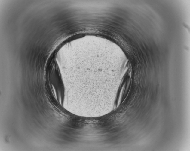 X0000096140484200802081351