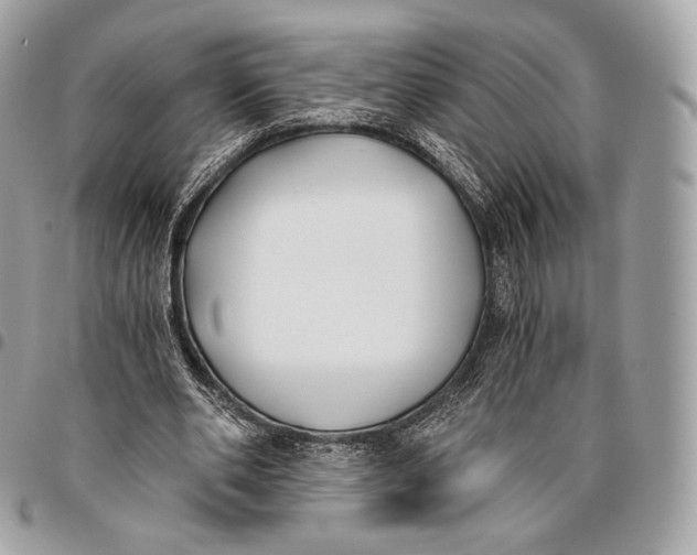 X0000096140486200802081351