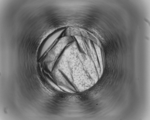 X0000096140488200802081351