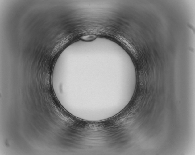 X0000096140489200802081351