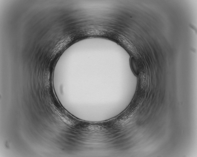 X0000096140490200802081351