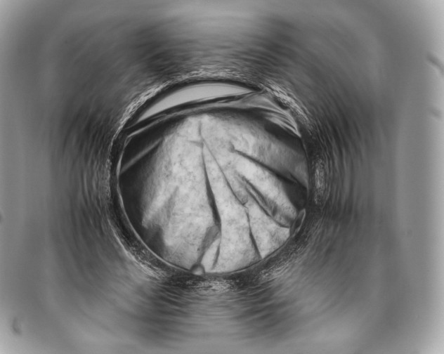 X0000096140492200802081351