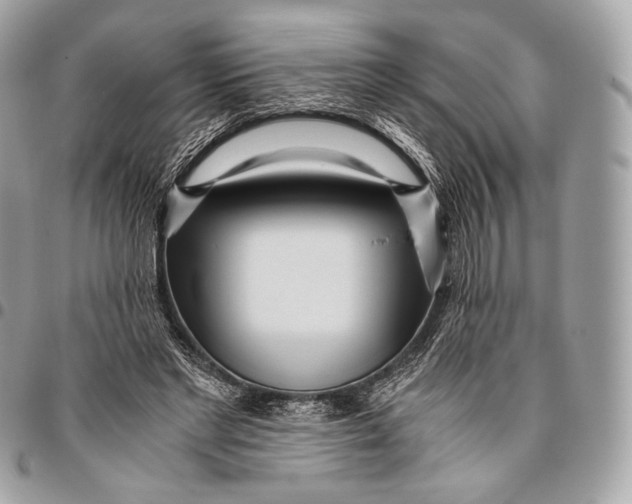 X0000096140493200802081351