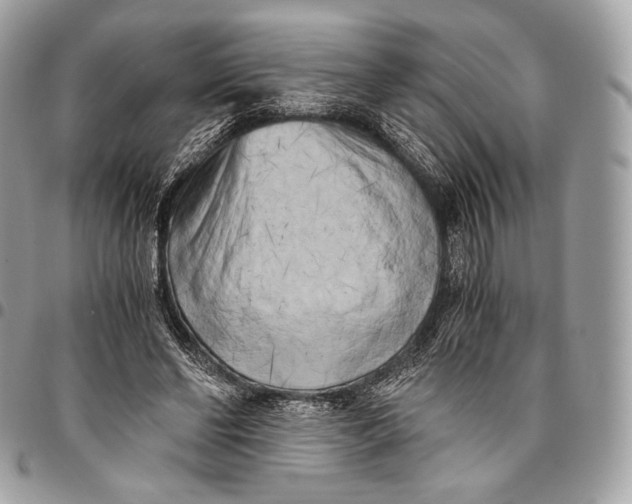 X0000096140494200802081351