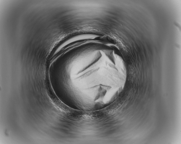 X0000096140496200802081351