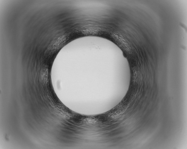 X0000096140498200802081351