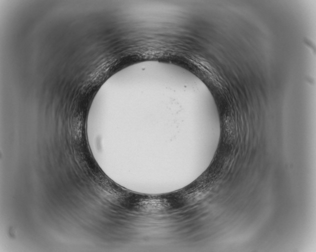 X0000096140499200802081351