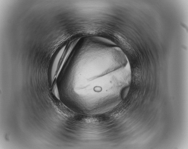 X0000096140500200802081351