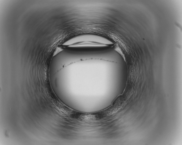 X0000096140501200802081351