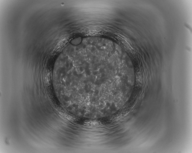 X0000096140503200802081351
