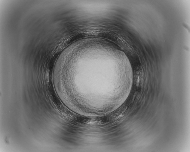 X0000096140504200802081351