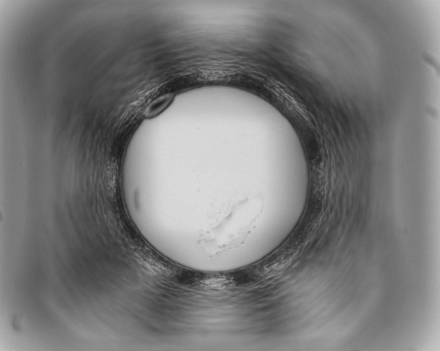 X0000096140505200802081351