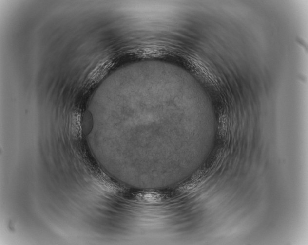 X0000096140506200802081351