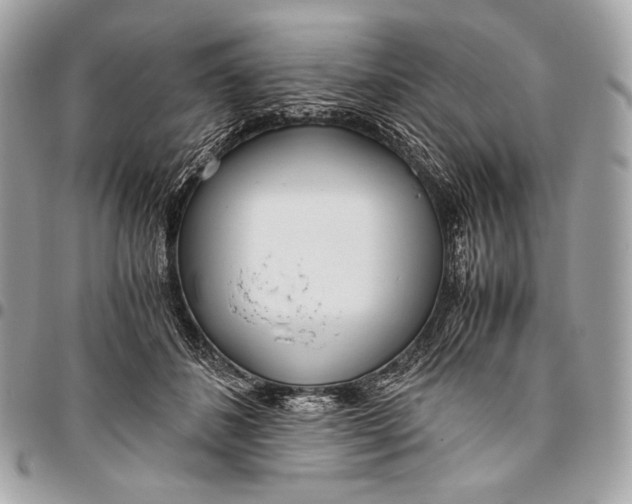 X0000096140508200802081351