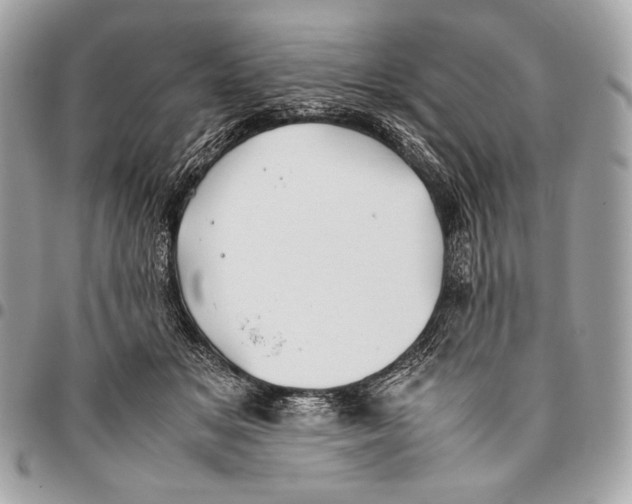 X0000096140509200802081351