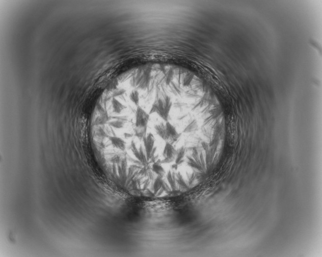 X0000096140511200802081351