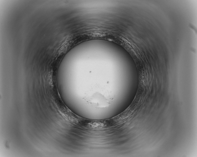 X0000096140512200802081351