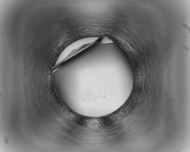 X0000096140513200802081351