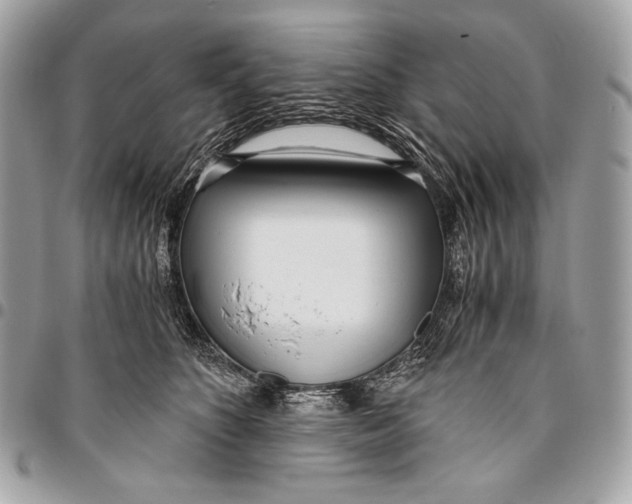 X0000096140516200802081351