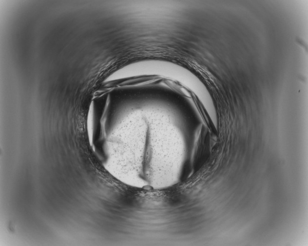 X0000096140517200802081351