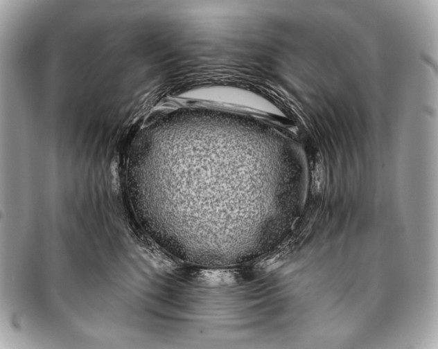 X0000096140520200802081351